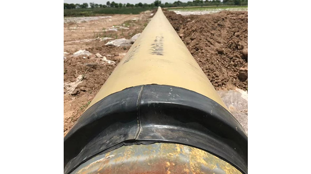 welcome-球速体育