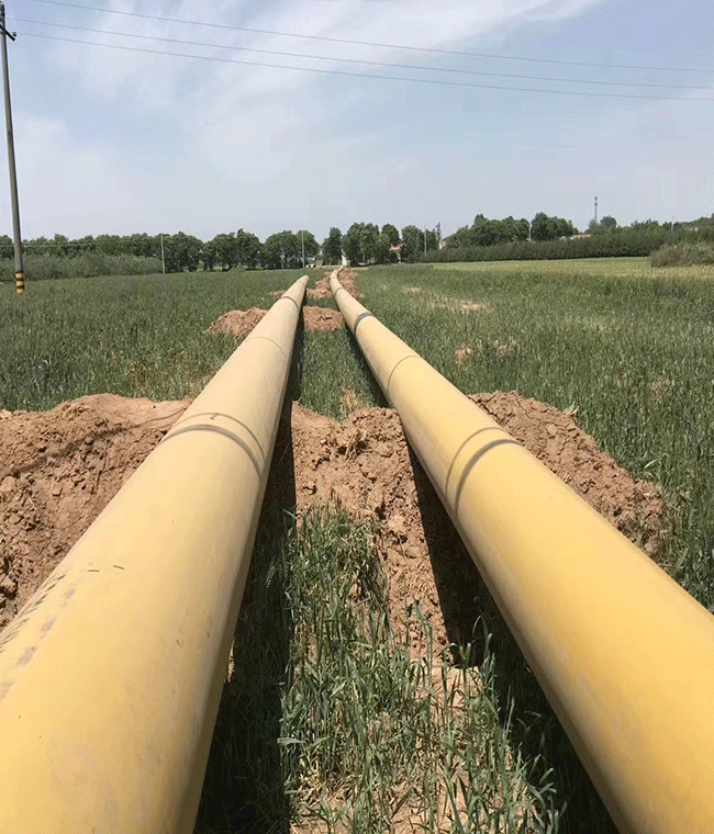 welcome-球速体育