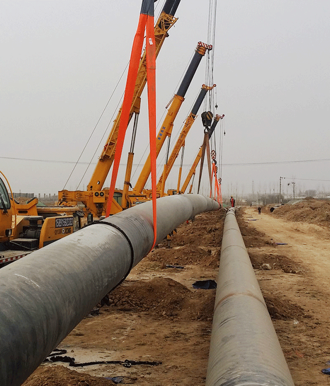 welcome-球速体育