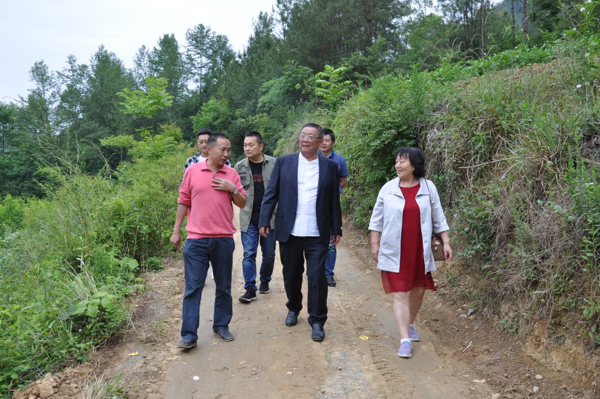 welcome-球速体育